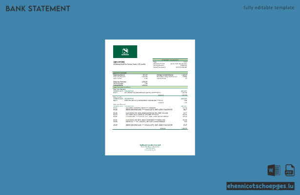 Beispiel-Excel-Vorschau eines Kontoauszugs der Lesotho Nedbank (Nedbank Lesotho)